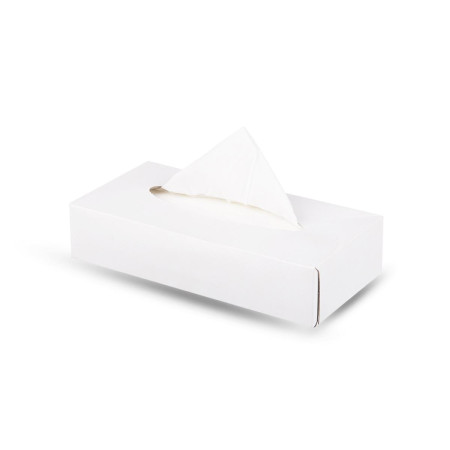 Салфетки бумажные в коробке V-сложения 2сл 100л Plushe Белые 