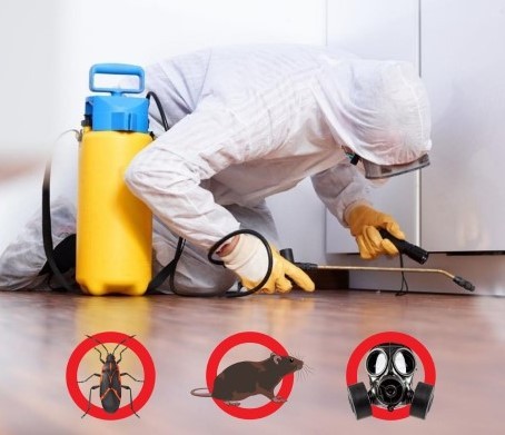 Дезинфекция, дезинсекция и дератизация