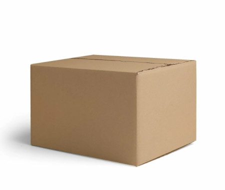 WhatsApp Image 2023-11-09 at 11.13.54